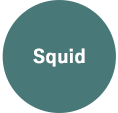 Squid